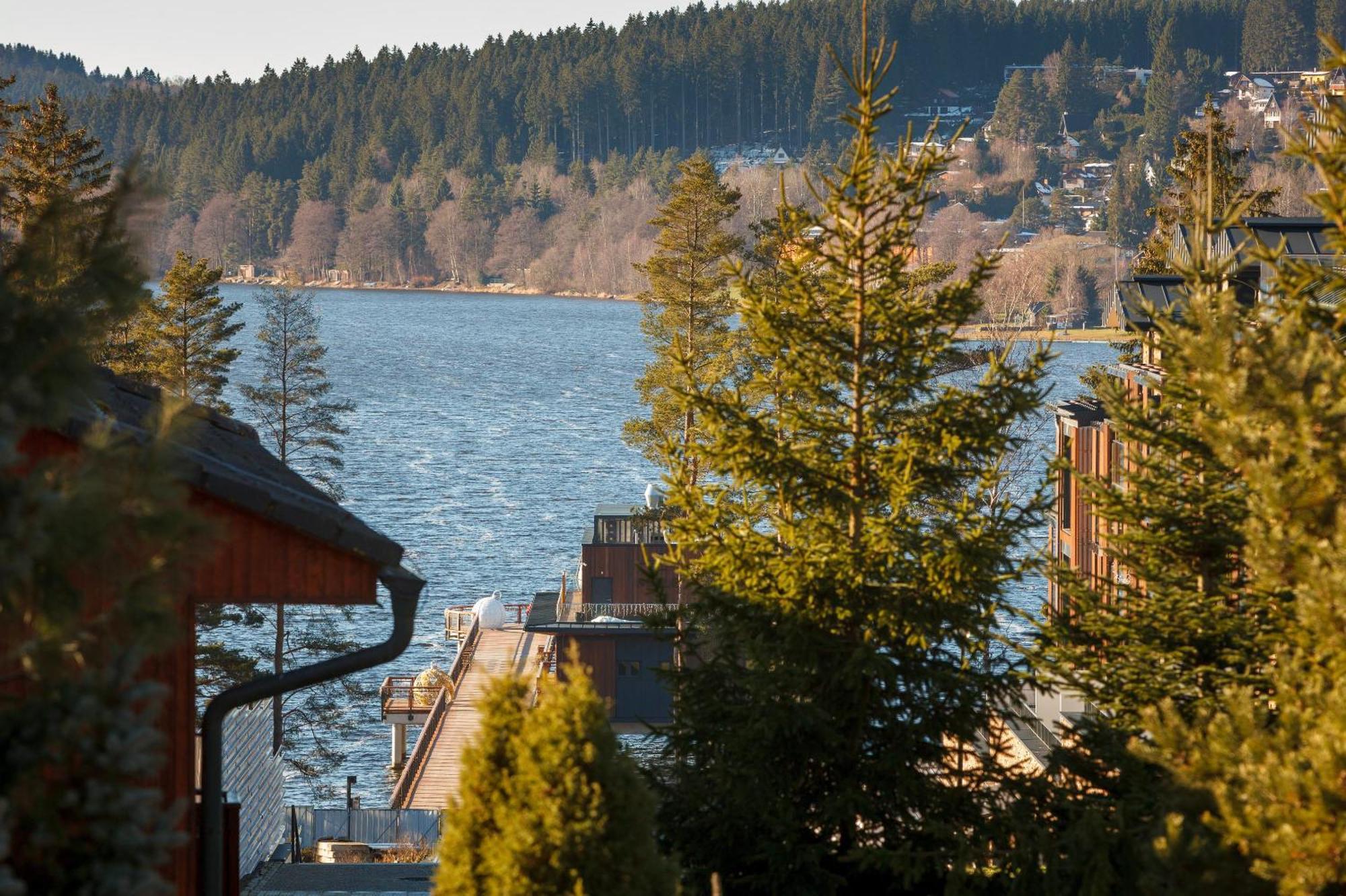 Vila Rozinka Lipno 伏尔塔瓦河畔利普诺 外观 照片