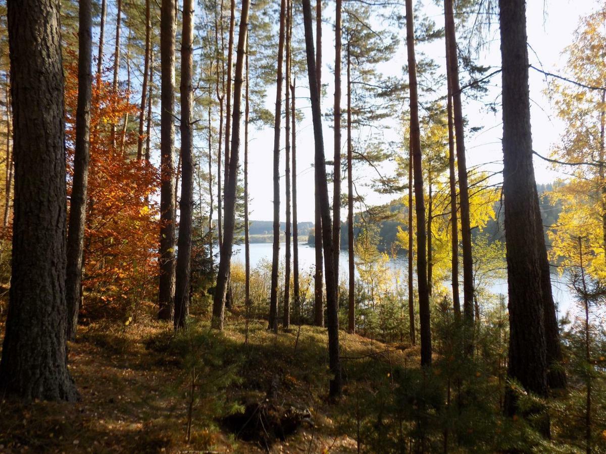 Vila Rozinka Lipno 伏尔塔瓦河畔利普诺 外观 照片